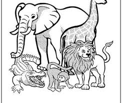 Printable 39 african animal coloring pages 3768 safari amazing coloring pages animal toddler activities beautiful safari animals coloring pages 97 on jungle safari coloring pages images of animal. Tag African Animals Print It Free