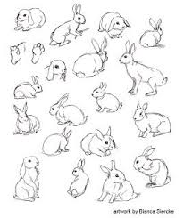 Animal Drawings 01 Animal Drawings Sketches Animal Drawings Rabbit Drawing