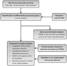 Hotspot identification for dynamic engagement (hide): Plos One Jak2 Centered Interactome Hotspot Identified By An Integrative Network Algorithm In Acute Stanford Type A Aortic Dissection