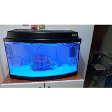 Kanki Pet Akvaryum 65 Cm 85 Litre Bombeli Full Set Fiyati