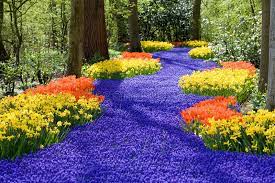 Flowers by pat proudly serves oklahoma city and the surrounding areas. Flowers By Pat Home Facebook