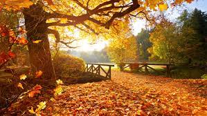 Ora de iarnă 2019 se va actualiza în curând și românii vor fi nevoiți să își modifice din nou ceasurile. EchinocÈ›iu 2019 Toamna AstronomicÄƒ A Inceput Cand Se SchimbÄƒ Ora