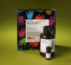 Western Blotting Substrate Pierce Ecl Plus Vwr