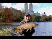 CARP FISHING in Central Park, New York - YouTube
