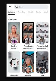 Nama filter ig blur aesthetic. Nama Nama Filter Snapchat Terbaru 2021 Pieter Nooten