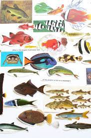 Pin On Collage Supplies And Inspiration