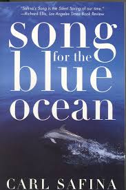 Image result for blue oceans