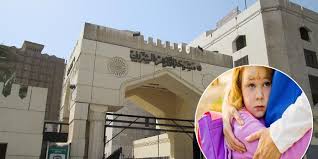 حضانة الصغير في قانون الأحوال الشخصية من الأحكام لـ تعديلات الأزهر صوت الأمة