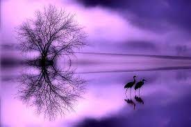 صور باللون البنفسجي كيف احبك حبيبي natural landmarks northern lights nature
