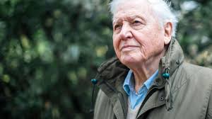 How old is David Attenborough and other interesting facts