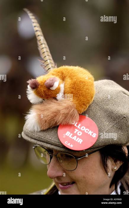 Before the UK fox hunting ban starts, a woman attends a fox hunt in West Sussex,