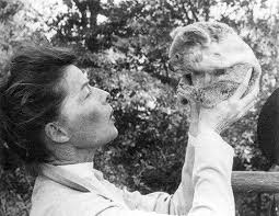 In 1955 Katharine Hepburn Boarded A Flight To Australia Fell In Love What She Liked Most About The Country Was Katharine Hepburn Katherine Hepburn Hepburn