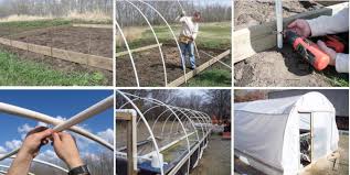 Menjadikan hobi memelihara haiwan terutamanya pelbagai spesis arnab dan ayam sebagai aktiviti masa lapang keluarga disamping. Artikelen Aus Plastik Paif Mat Sengem Hann Zeechnungen