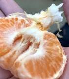 Are oranges supposed to be fuzzy on the inside?