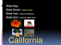 Mohamed Kiersten Lynch 4th Grade California Ppt Download