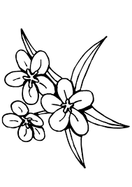 epingle par fierro sur printemps fleur dessin facile coloriage drapeau du burundi
