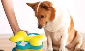 Maybe you would like to learn more about one of these? Best Dog Puzzle Toys Uk Cheap Online