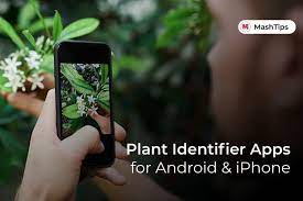 Here are the top 5 best plant identifier apps for android and iphone: 10 Best Plant Identification Apps For Android And Iphone Mashtips