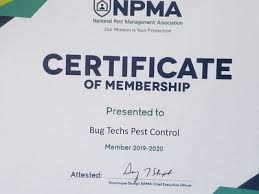 Let bug techs pest control co. Bug Techs Pest Control Company Sirfyyar Profile Pinterest