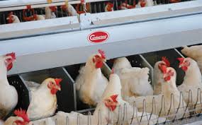 Our main objective is to help our customers succeed in the area of farming management. Home Agco Gsi Malaysia Sdn Bhd