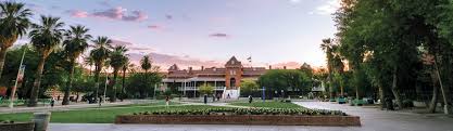 University Of Arizona The Princeton Review College
