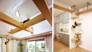 Kittens diy interior cat stands decor diy stuffed animals cat decor home decor diy cat tree cat bed. As You May Be Aware The Japanese Treat Their Pets Like Children And Since They Are Also Masters Of Good Desig Modern Cat Furniture Cat Furniture House Design