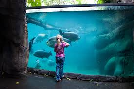 Check spelling or type a new query. Pressefotos Randers Regnskov Tropical Zoo