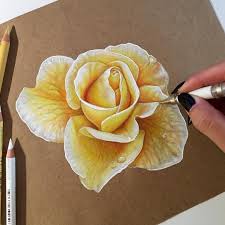 I fiori sono un modo efficace per insegnare gli studenti ombreggiatura e stratificazione, nonché come scegliere e colori si fondono. Pin Su My