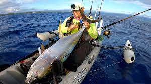 Hawaii Kayak Fishing: Chasing Birds for Big Shibi (Yellowfin Tuna)! -  YouTube