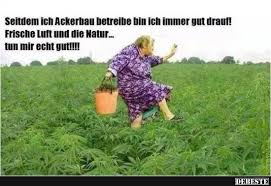 Besten Bilder Videos Und Spruche Und Es Kommen Taglich Neue Lustige Facebook Bilder Auf Schlechte Familienfotos Lustige Spruche Bilder Witzige Bilder Spruche