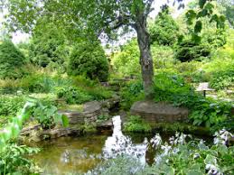 There also is an arboretum, groves of trees, lily, herb and shrub rose gardens, the bog walk and the nearby wehr nature center and historic trimborn farm estate. Wedding Photo Permits Friends Of Boerner Botanical Gardens