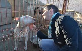 Mos craciun, de mauri kunnas povestea dezvaluie toate misterele din spatele noptii fermecate de craciun. Mihai Traistariu In Pielea Lui Mos Craciun Pentru Catei Ziarul National