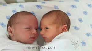 JY Confinement Services