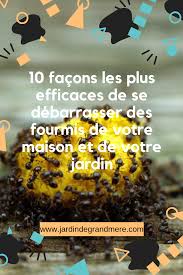Epingle Sur Jardinage Astuces