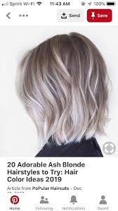 Epingle Par Diana Giles Sur Silver Hair Color Idee Couleur Cheveux Meches Colorees Idees De Coiffures