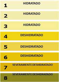 Pin En Infografias Nutricion