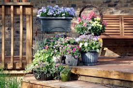 When growing plants outdoors, be sure to pay attention to each plant's condition requirements, such as the amount of sunlight and the quality of the soil. How To Take Care Of Plants In Pots Countryside