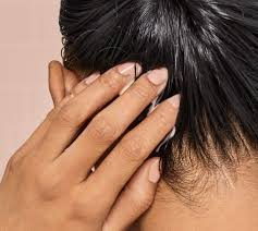 Changes that can help prevent hair damage: Damaged Hair Why It Happens And How To Fix It At Length By Prose Hair