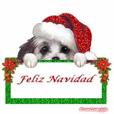 Resultado de imagem para mensagem de feliz natal vibrante