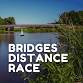 Bridges Distance Race — Berlin Yacht Club