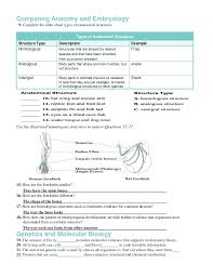 We see the reduction and loss of the side toes and enlargement of the 2. Chapter 16 Worksheets