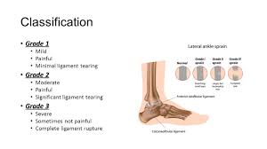 Tears to the lateral collateral ligament most often occur from a direct blow to the inside of the knee. Lateral Ankle Sprains And Chronic Ankle Instability Ppt Video Online Download