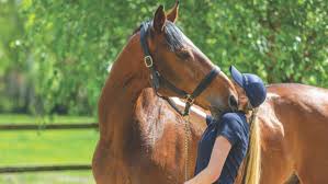 Farewell to two outstanding champions, and Amazon called