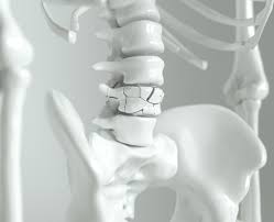 Maybe you would like to learn more about one of these? Tulang Sebagai Sistem Gerak Pasif Manusia