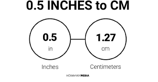 0 5 inch in cm