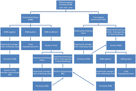 My bleeding stopped just under a week ago so i'm pleased about that but the waiting game is tough. Diagnosis And Management Of Postmenopausal Bleeding Springerlink