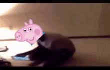 Maybe you would like to learn more about one of these? Peppa Pig And George Pig Gifs Tenor