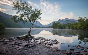 The name was coined as a pun to go with the designation munro. Wallpaper Wales Uk Trees Mountains Lake Water Reflection 1920x1200 Hd Picture Image