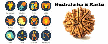 Dear sir, all rectal cancer at any stage has a very poor recovery as the metastasis is very profound due to the pelvic floor blood supply and lymphatic drainage of does it above or inferior to the marked line? Rashi Rudraksha Rudraksha According To Moon Sign