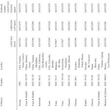 Image result for Swertia kilimandscharica